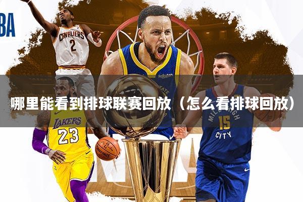 哪里能看到排球联赛回放(怎么看排球回放)