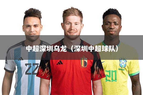 中超深圳乌龙（深圳中超球队）