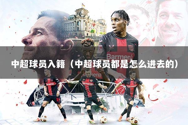 中超球员入籍（中超球员都是怎么进去的）