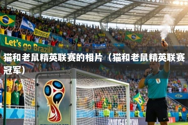 猫和老鼠精英联赛的相片（猫和老鼠精英联赛冠军）